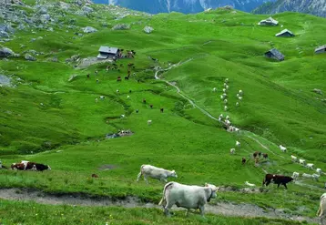 Au nom du pragmatisme, Bruxelles vient de faire plusieurs propositions concernant l’agriculture 
et les produits de montagne (ici dans le Queyras, Hautes-Alpes).