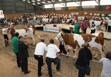 Défilé des laitières devant les spectateurs et le jury (Benoît Roche de St Géron pour les Montbéliardes et Joël Plantin de Paulhaguet pour les Prim’Holstein).