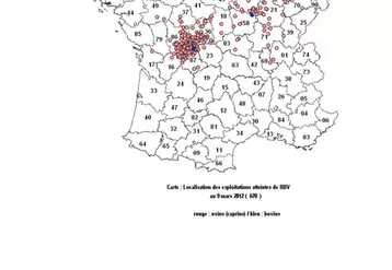 Le virus a été diagnostiqué dans 670 élevages en France.