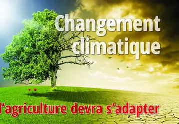 L’adaptation des pratiques culturales au changement climatique était le thème de la session de la Chambre départementale d’agriculture le 11 juin. 