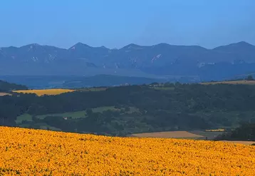 « La diversité et la beauté de la France, notre pays les doit à des siècles de tradition agraire ».