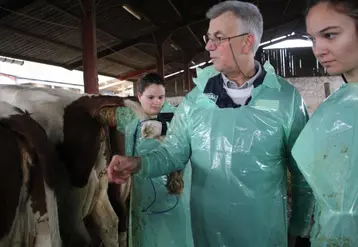 Séance d'examen minutieuse des animaux.