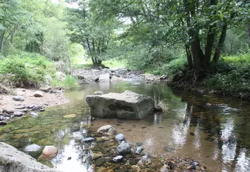 Cours d'eau en Haute-Loire.