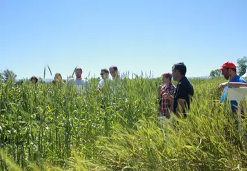 La visite sur la plate-forme suscite de nombreuses questions des agriculteurs. Ici au milieu des blés populations.
