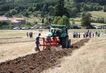 L’épreuve du labour a attiré de nombreux spectateurs.