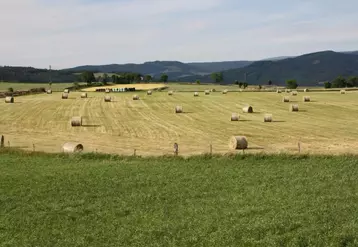 15 cantons supplémentaires et quelques communes des cantons de Pinols et Saugues font partie du classement proposé par le comité départemental.