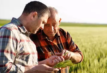 Deux agriculteurs dans un champ