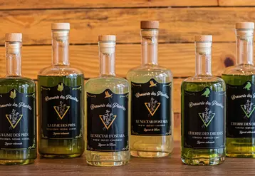 Liqueurs de la Brasserie des Plantes