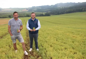 Franck Rocher, agriculteur et président de l’ODG Lentilles vertes du Puy-en-Velay et Antoine Wassner, PDG  de l'entreprise Sabarot.