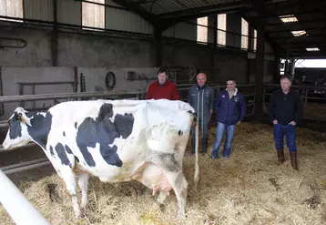 Les éleveurs du Gaec des Achamps et le président du Syndicat Prim Holstein Guillaume Julien avec Douchka une laitière remarquable par sa longévité (+ de 87 000 kg de lait en 12 ans.