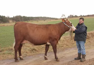 Orangina la vache abondance de Julien Gibert sélectionnée pour Paris 2022.