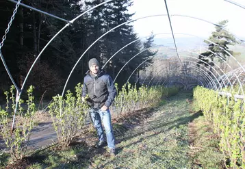 Emeric Duclaux du pertuis, installé en fruits rouges.