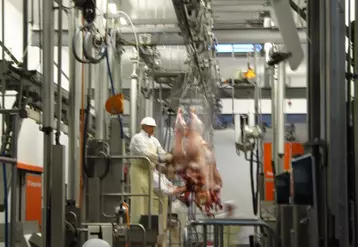 Le boeuf représente 35 % de l’activité des abattoirs altiligériens.