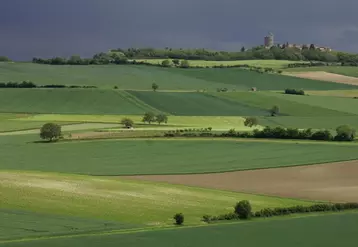 Les régions qui perdent le moins de terres agricoles (-2 %) se situent dans la diagonale centrale de la Lorraine au Limousin.