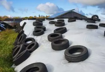 Pour envisager une collecte de pneus usagés, un questionnaire est adressé aux exploitants du Brivadois.