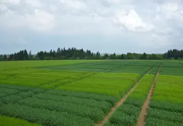 Rendez-vous le 26 juin à La Chapelle Laurent.