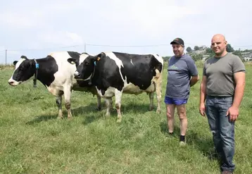 L’éleveur Robert Faure et l’inséminateur Julien Marquet à côté de deux vaches équipées d’un collier.