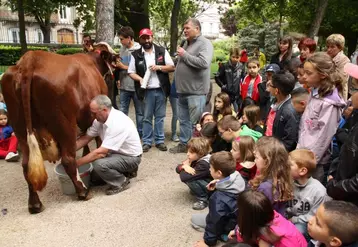 La démonstration de la traite d'une vache à la main est l'une des animations phare de l'opération sourire.