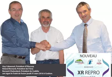 Regrouper moyens et compétences sous une même structure :  XR Repro