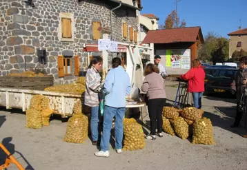 La foire à la patate, un rendez-vous important pour les fanas de ce tubercule !