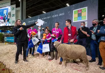 Adrien Chambon, ici au centre, a été sacré meilleur jeune berger  de France.