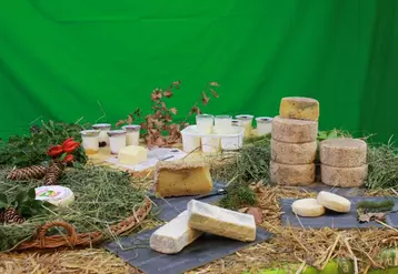 Le fromage au lait cru, un des fleurons de notre gastronomie locale voire française, mis à mal.
