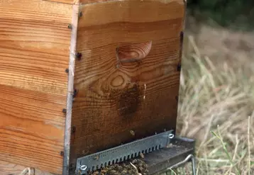 Des circonstances climatiques particulièrement défavorables deux années consécutives, pèsent lourdement sur les trésoreries des exploitations apicoles.