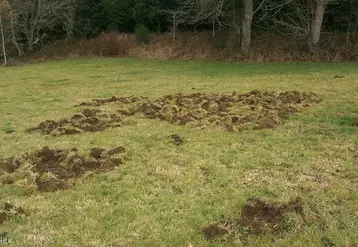 Pour engager une procédure d’indemnisation, il faut réunir plusieurs conditions.