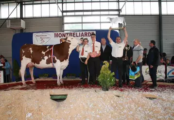 Lune de Miel du Gaec du Pivert (exploitation du président de «Montbéliarde Haute-Loire», Jean-Claude Rolly), a été sacrée Miss Montbéliarde 2018 le 8 avril à Saint-Paulien.