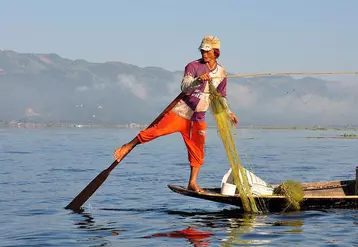 Sur le lac Inle se développent une agriculture autour de la tomate et d'autres activités économiques locales.