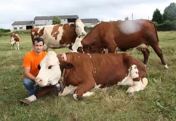 Mikaël Vacher en compagnie de ses vaches laitières.