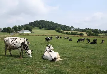 Les systèmes d’élevage herbagers sont de sacrés atouts pour les territoires.