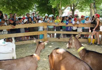 La ferme s’invite en ville, une belle opération de communication envers les citadins.