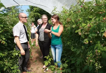 Cindy Deygas avec la sous-préfète d’Yssingeaux, Christine Hacques et le directeur de la DDT, François Gorieux sous un tunnel de framboises.