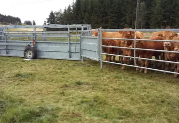Pour manipuler vos bovins au pré en sécurité, optez pour la contention mobile.