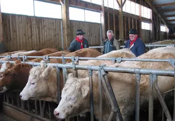 Dans la ferme de Jean Daniel et David Genest au Mazet St Voy, 8 animaux Fin Gras sont destinés à la commercialisation sous marque Fin Gras du Mézenc cette saison.