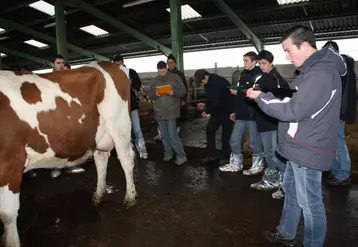 Devant une vache laitière, les candidats ont tenté d’approcher le jugement du jury.