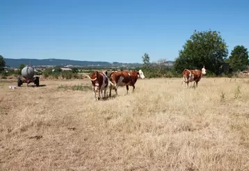 La FDSEA et les JA ont obtenu du Conseil Régional d’Auvergne 
une enveloppe supplémentaire.