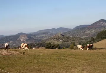 L’image «montagne» plaît aux consommateurs.