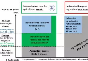 Réforme de la gestion des risques climatiques en agriculture