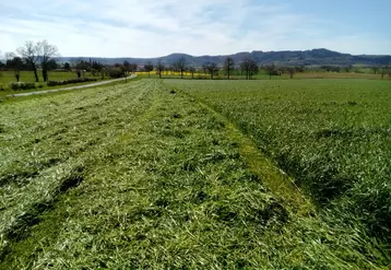 Ma question du jour : comment récolter un ensilage d’herbe à 35 % de MS ou un enrubannage à 50% de MS  en 48 heures après la fauche ?