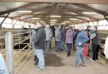 ne journée technique co-organisée par le Groupe salers évolution, Bovins croissance, la Chambre d’agriculture, l’UALC et l’ASDEA.