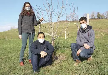 Lise Fabries, Pauline Herbemont et Simon Lacalmontie sur le "chemin des élèves" du lycée agricole, déjà bordé de jeunes arbres fruitiers.