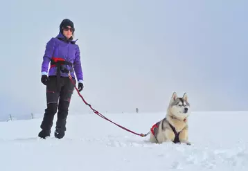 Laëtitia Birolini, aux côtés de l’un de ses douze chiens nordiques.