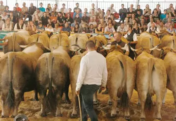 Il y avait beaucoup de monde dans les gradins samedi pour assister aux jugements et aux remises de prix.