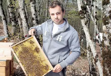 À 24 ans, Laurent Chateau exploite déjà près de 200 ruches.