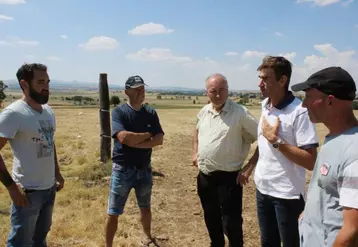 Liozargues : des paysages désolés à perte de vue avec un or vert devenu jaune, mais sans valeur celui-ci...