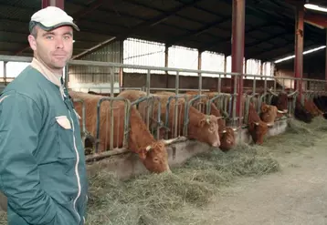 Jean-Philippe Borie engraisse une douzaine de génisses croisées destinées à la filière Cantal.