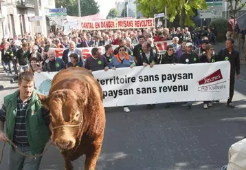 La délégation des 3 000 Cantaliens a eu les honneurs de la tête de cortège.