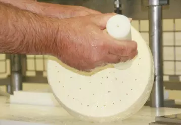 Le nouveau décret bleu d’Auvergne, paru le 13 novembre, devrait permettre de mieux valoriser le lait AOP d’Auvergne.